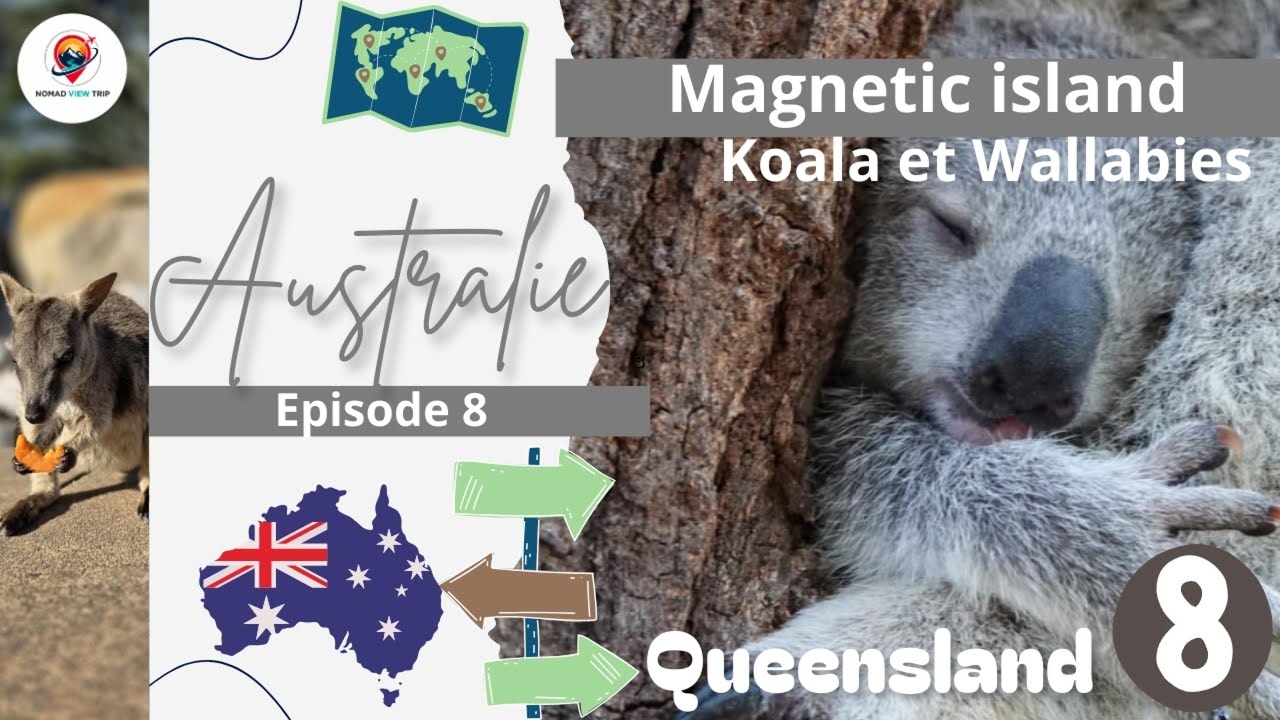 Episode 8 -   Magnetic Island - Rencontre incroyable avec des Koalas et Wallabies !