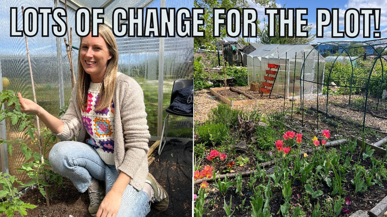 REPLANTING THE FLOWER BED / ALLOTMENT GARDENING UK