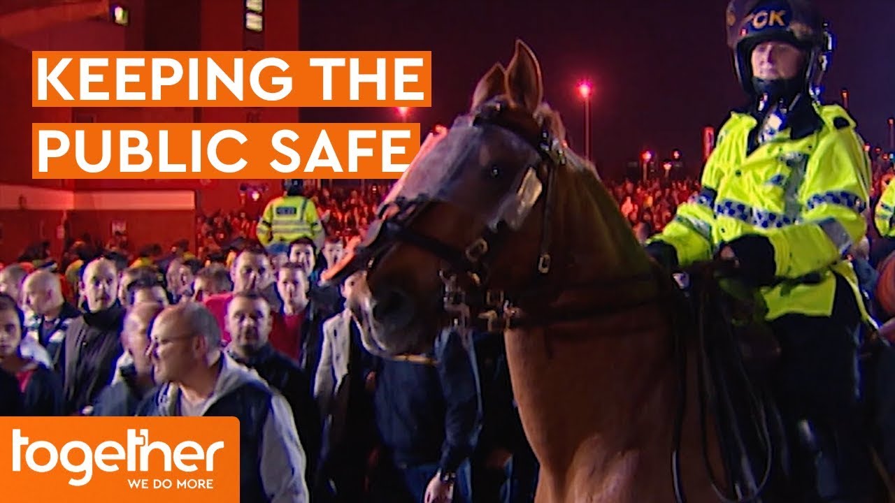 Police Horses Help Make the Public Feel Safe | Mounted Branch