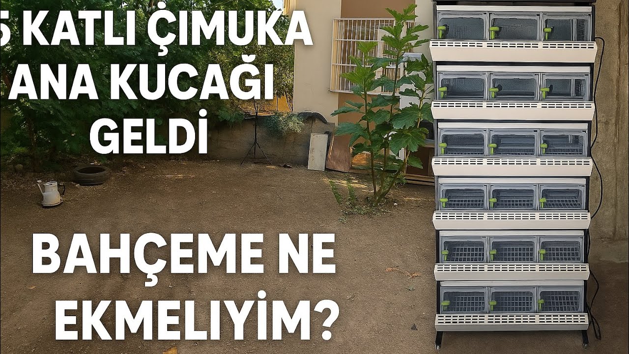 5 Katlı Çimuka Ana Kucağı Geldi! Bahçeme Ne Ekmeliyim?