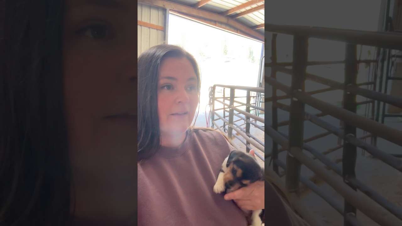 Обновленная информация о восстановлении Лаки после операции &mdash; День 3