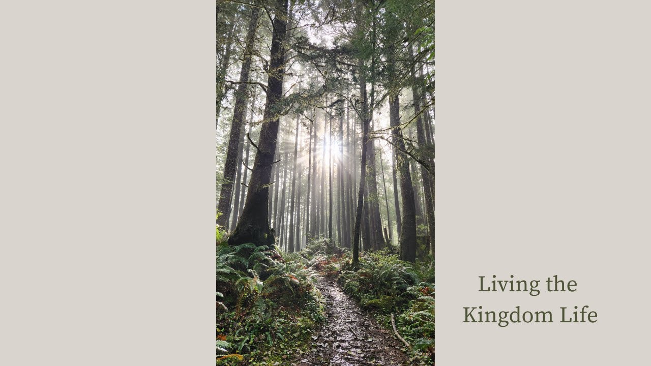 A Confession of Disobedience—and a Step of Obedience