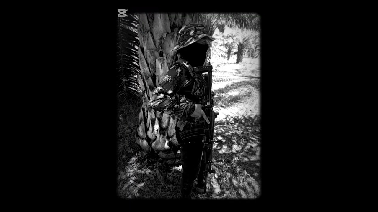 El gato negro🇳🇬 comando valerio