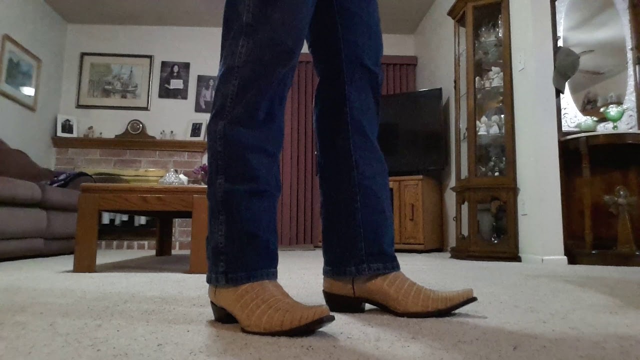 Los Altos Honey Brown Caiman Belly Boots On Feet