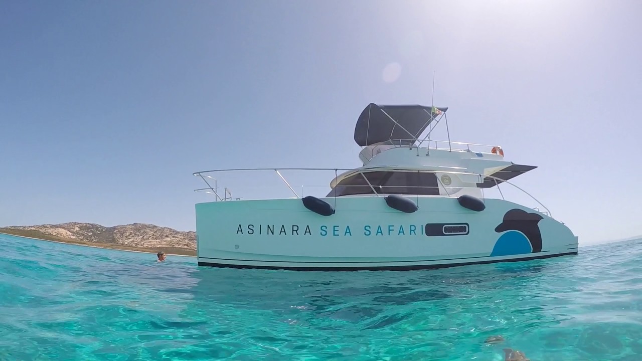Escursioni in Catamarano nel Parco Nazionale dell'Asinara