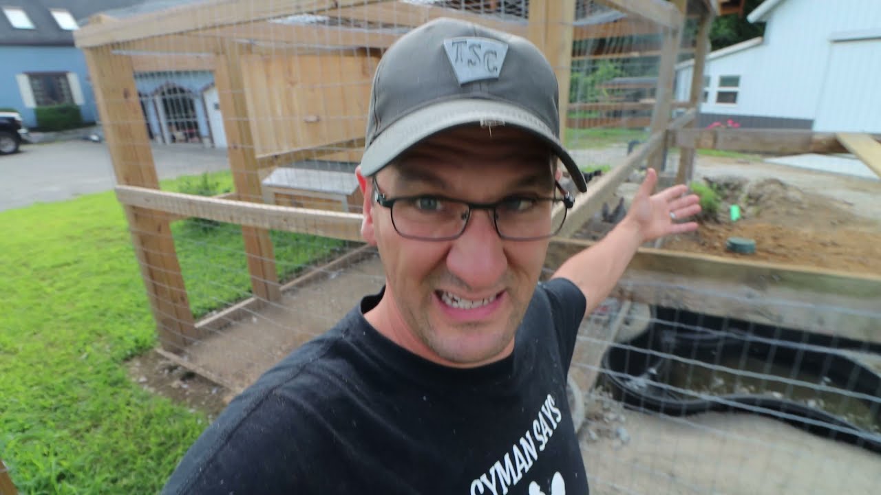 DUCKS ARE IN THE NEW POND - Part 2
