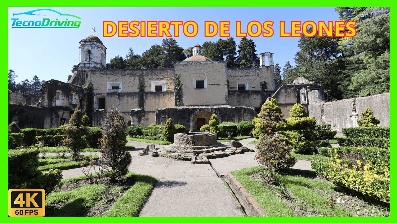 Visitando el desierto de los leones