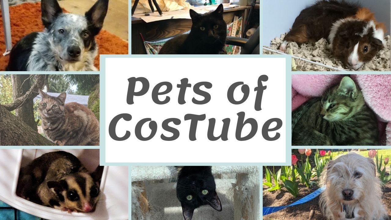 Pets of CosTube