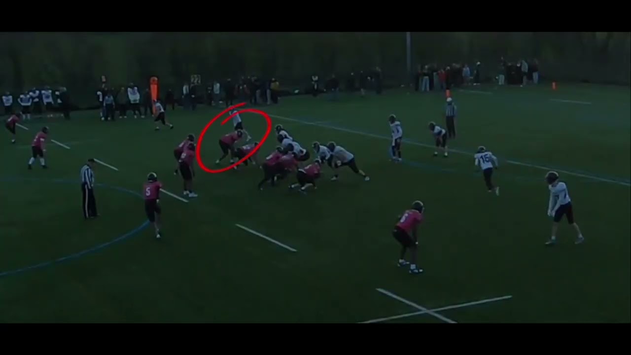 Highlights