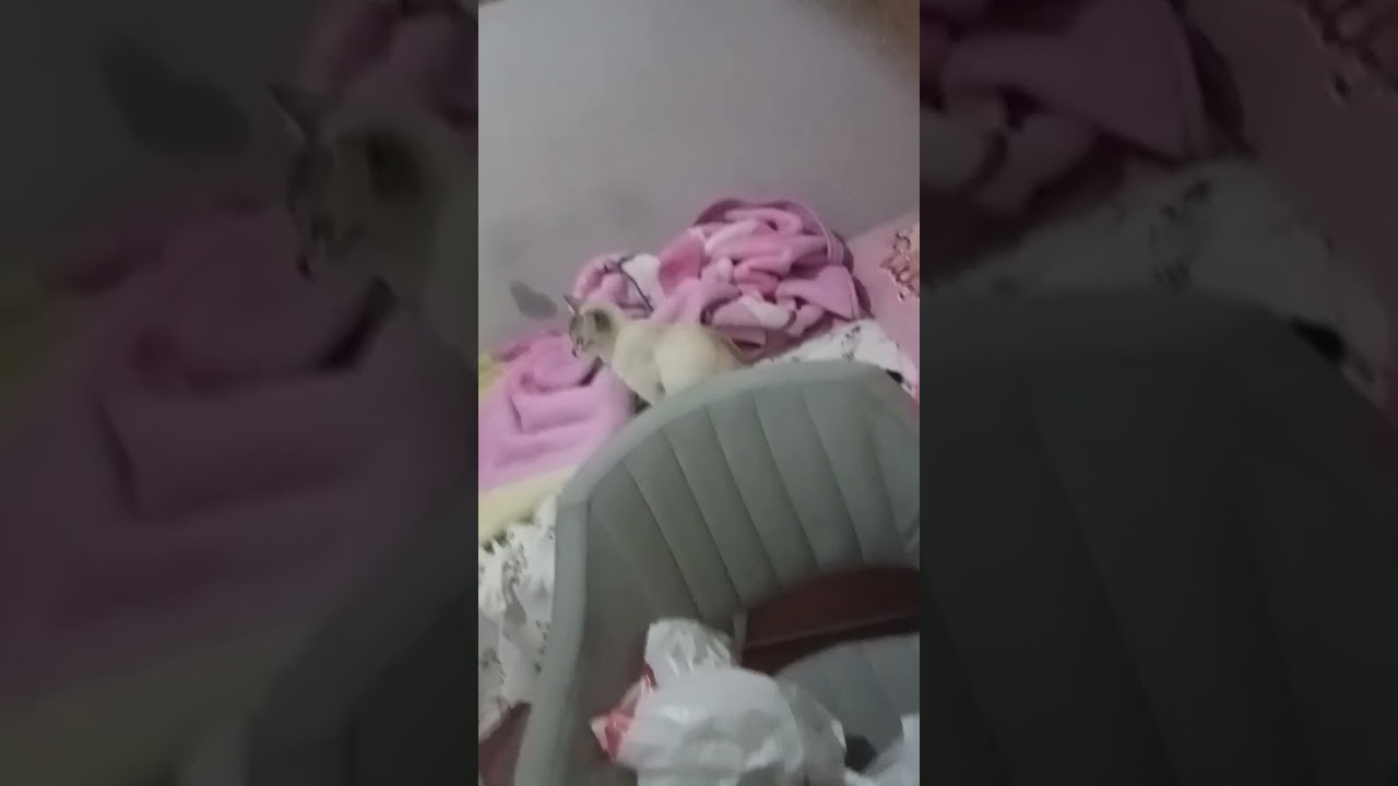 Mame'yle KİMSELER DUYMASIN videosuuuuuu🩷❤️‍🔥