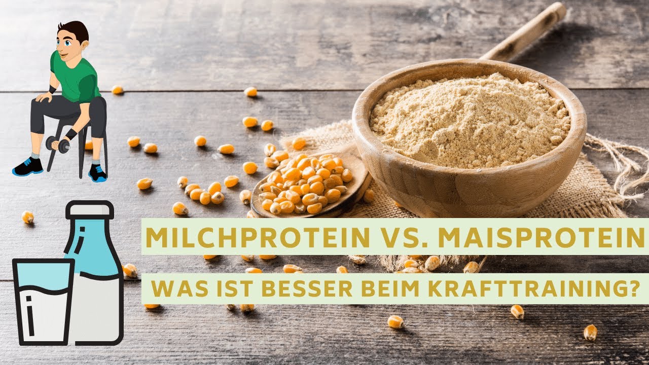 Maisprotein vs. Milchprotein beim Krafttraining