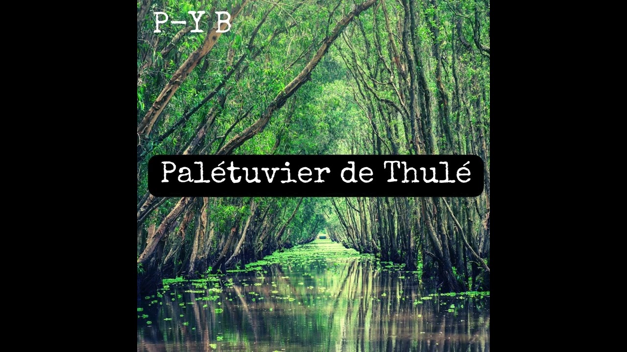 Palétuvier de Thulé - Pierre-Yves Brégand