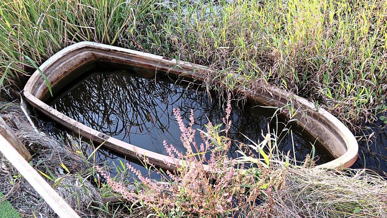 A swamp in Japan 🐊 for a good book! | World English School Today