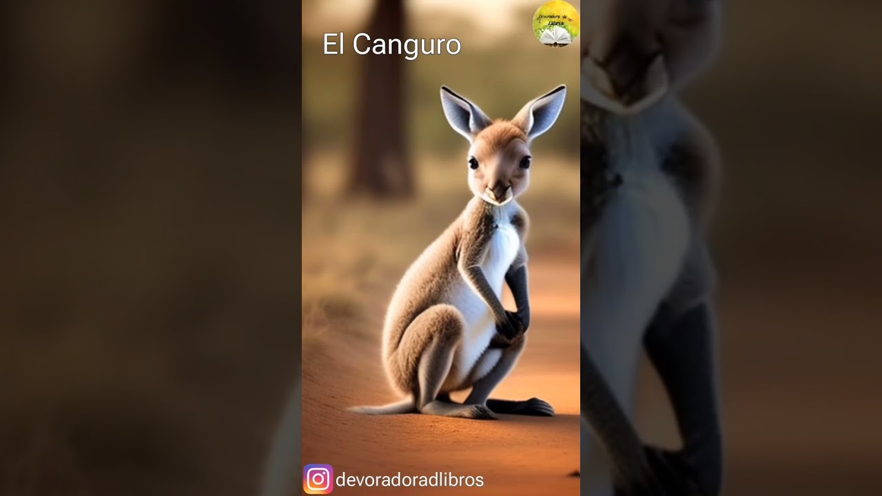 El Canguro | Devoradora de Libros | Historia Corta