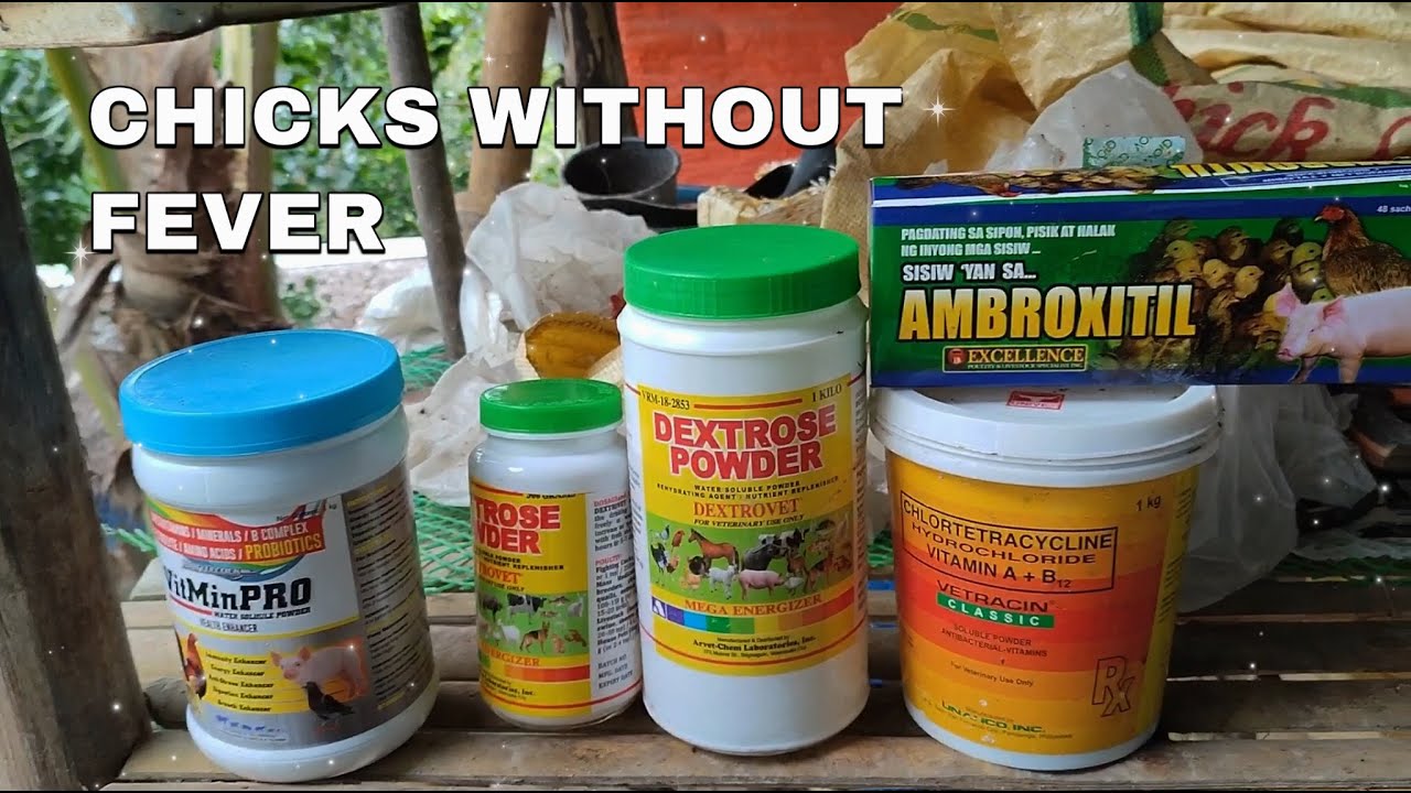Resulta ng Tamang Pagpapa-inom ng Antibiotic! 27 Days Without Fever! | EM Farming
