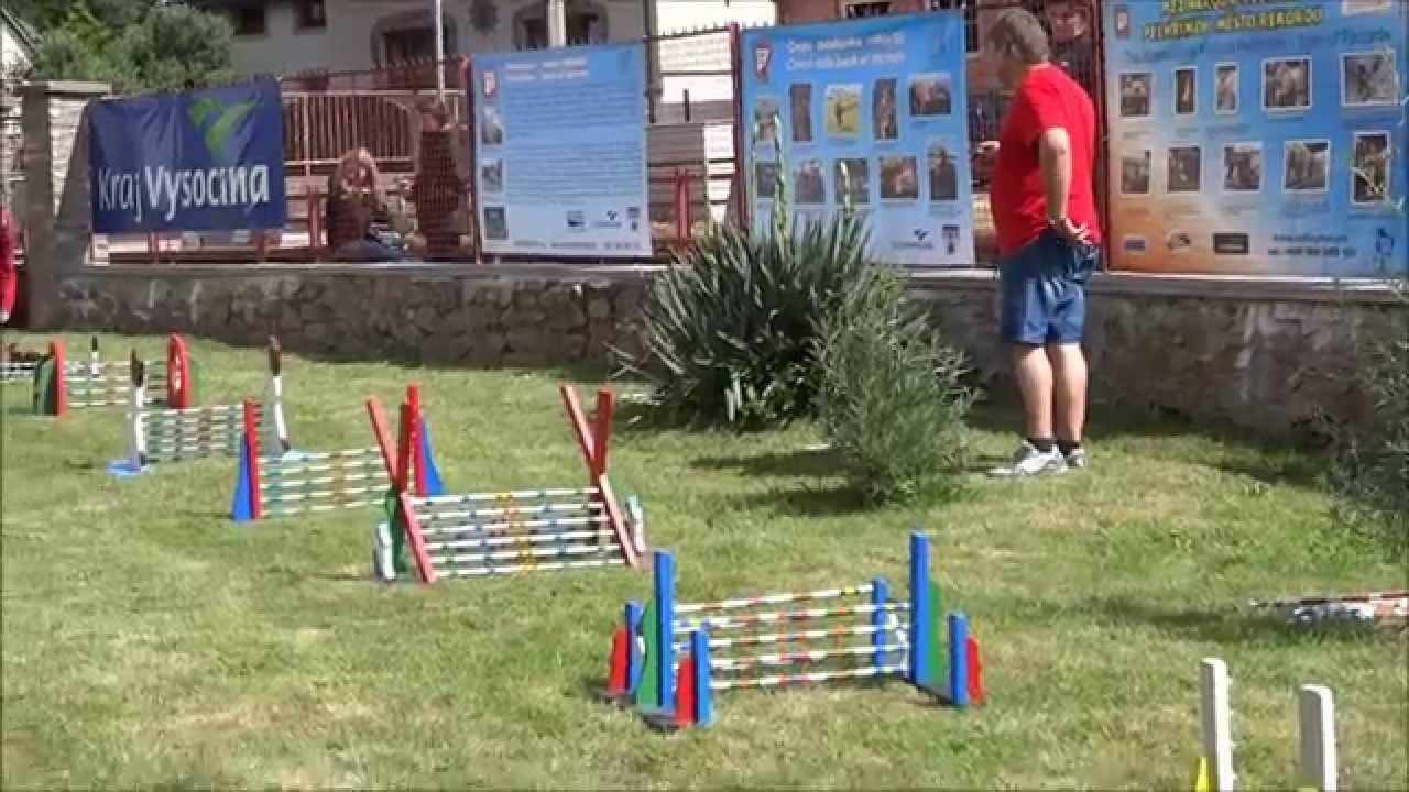 Závody v Králičím hopu / Competition in Kaninhop | CZ Pelhřimov - 14.6.2014