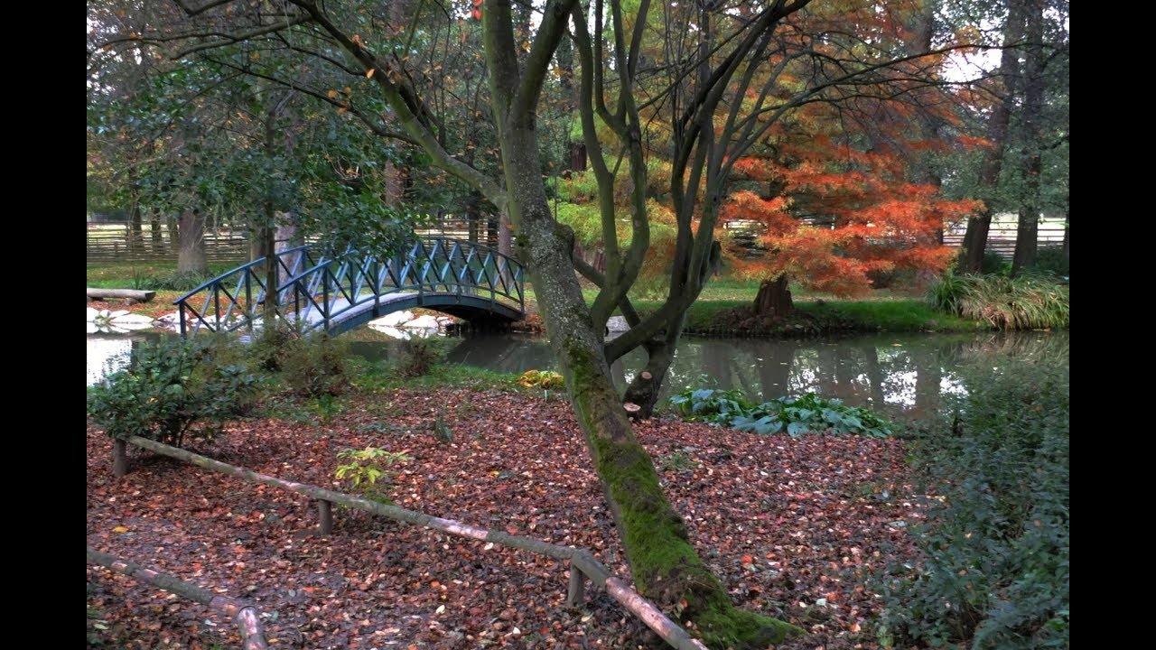 MAFEL-VIDEO.CZ   Z&aacute;meck&yacute; park Častolovice