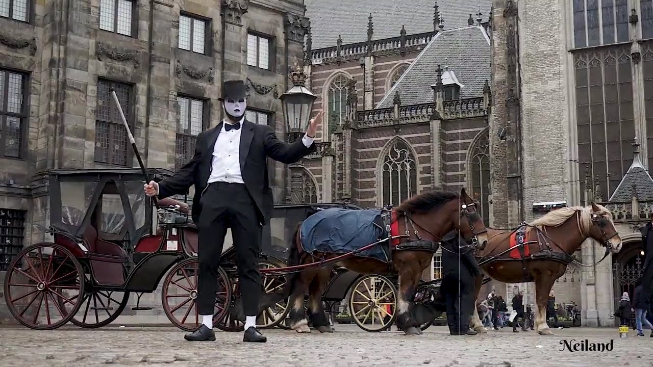 Neiland (Dance, Estonia) - Street Performance.  Odd Chap (Music, New Zealand) - Worldwide