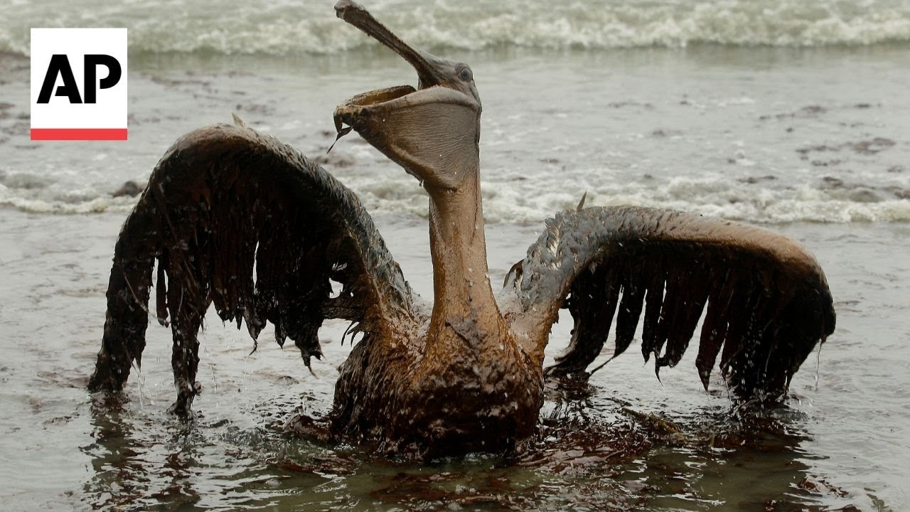 From AP archives: BP's Deepwater Horizon oil spill in 2010