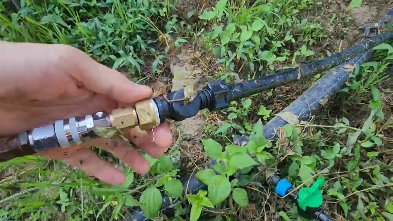 고추는 물을 주어야 자란다!!