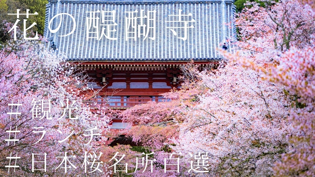 【醍醐寺】京都随一桜の名所の見どころとランチでひとり旅～京都観光旅行 春～