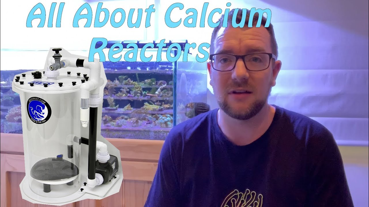 All About Calcium Reactors