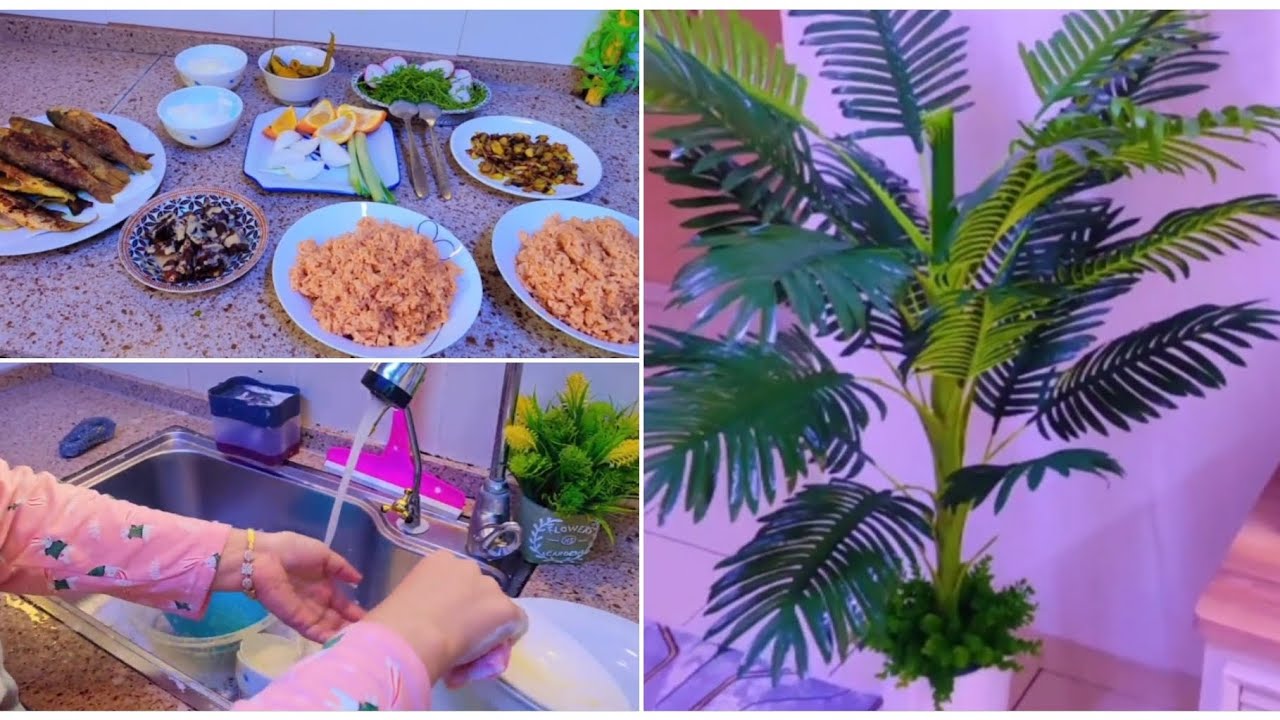اخر غدة النه اليوم وبعدها🤗غدانه اليوم سمج سموج