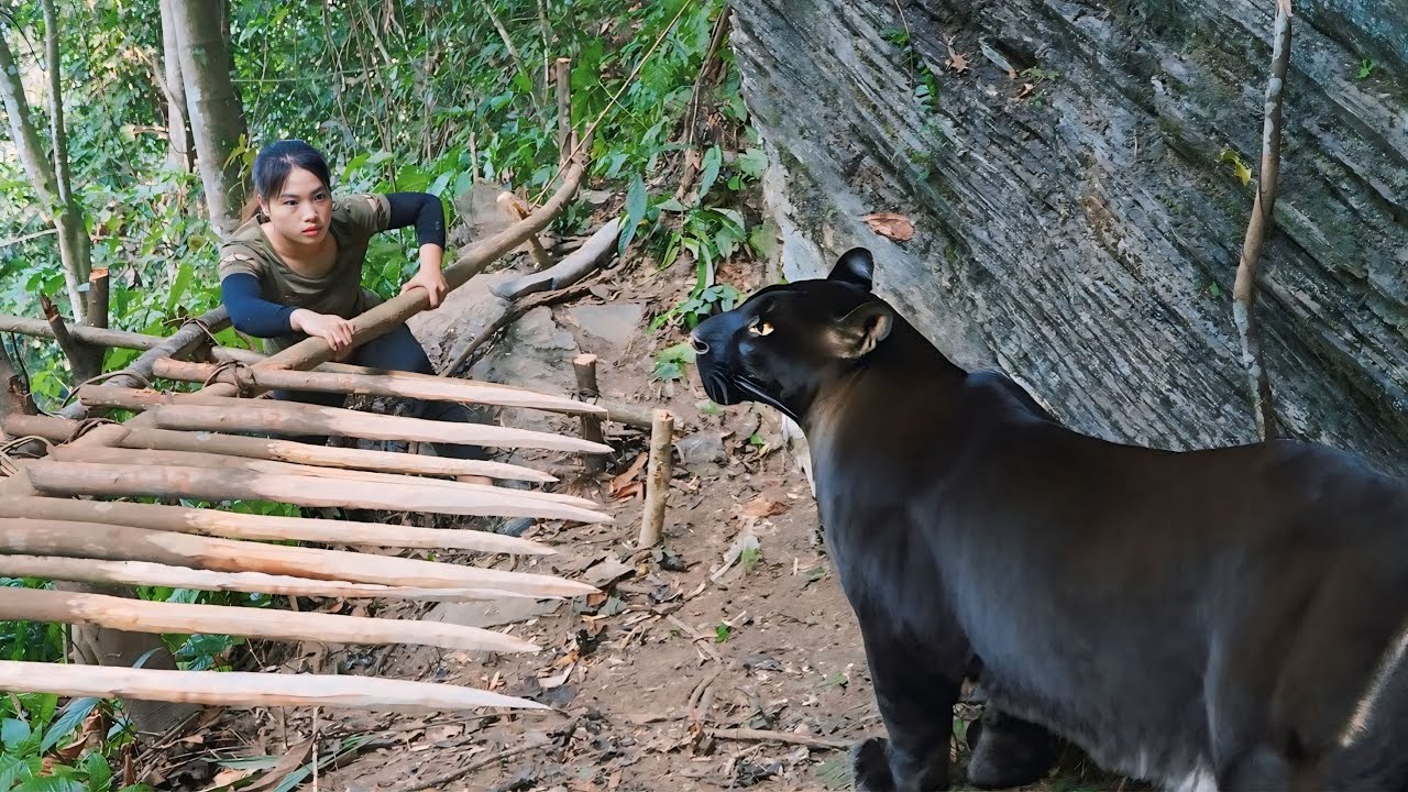 200 days of survival in the wild, trapping black panthers, wild boars and porcupines, survival alone