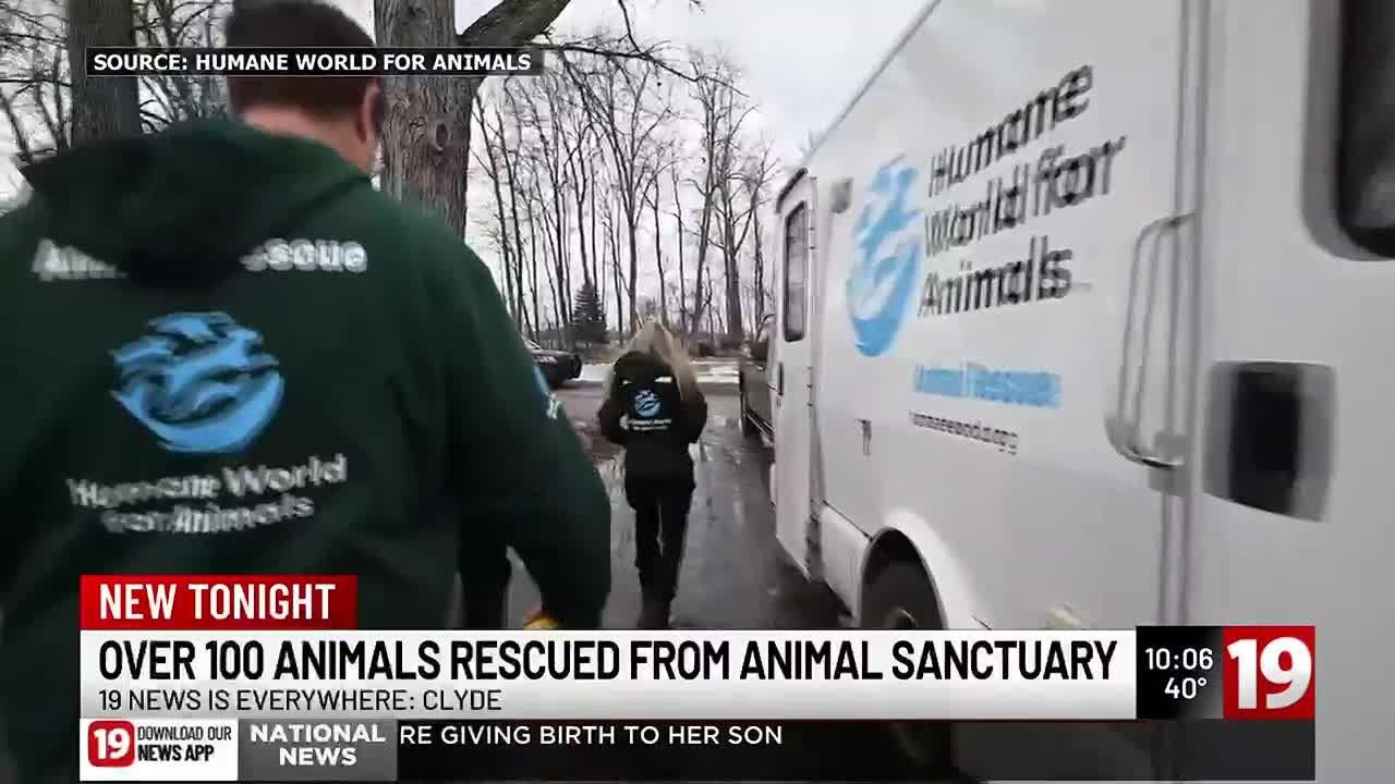 More than 100 animals rescued from animal sanctuary