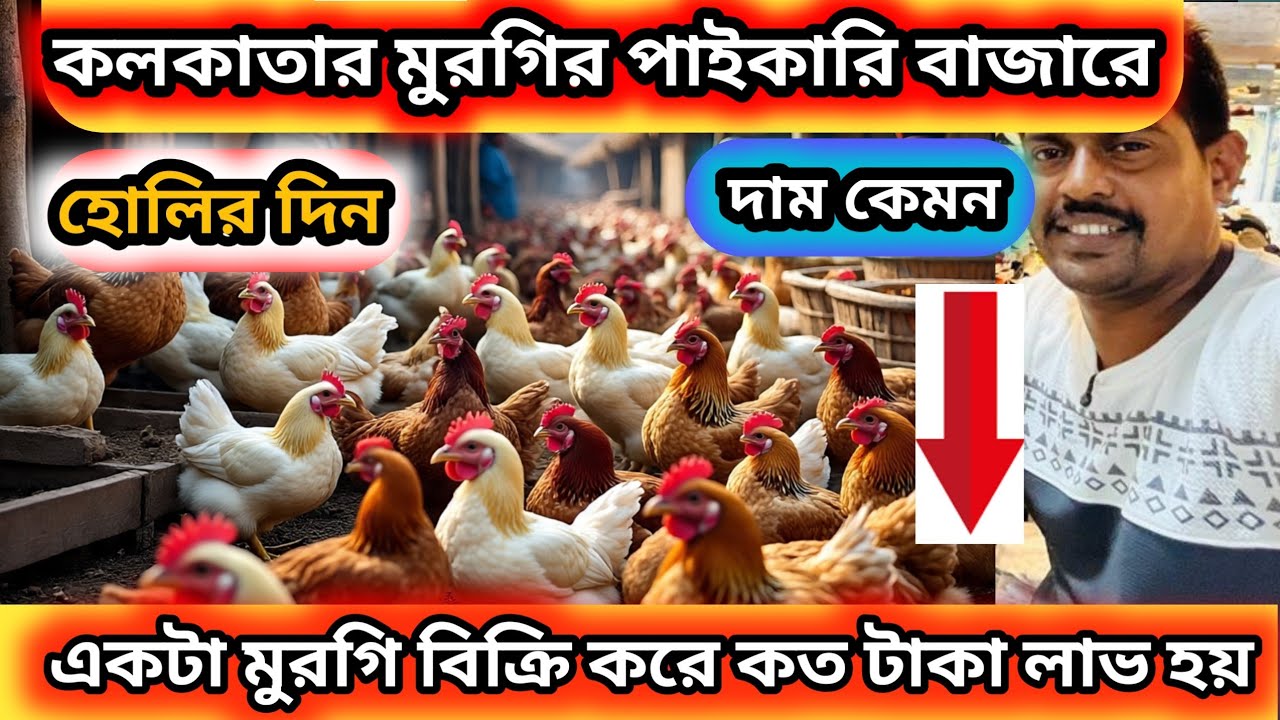 মুরগির পাইকারি বাজারে হোলির দিনে কেমন দাম সমস্ত রকম মুরগির || chicken wholesale market #chicken 