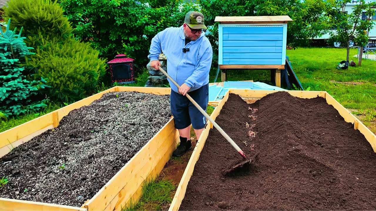 Planting Vegetables For A More Simplified Life