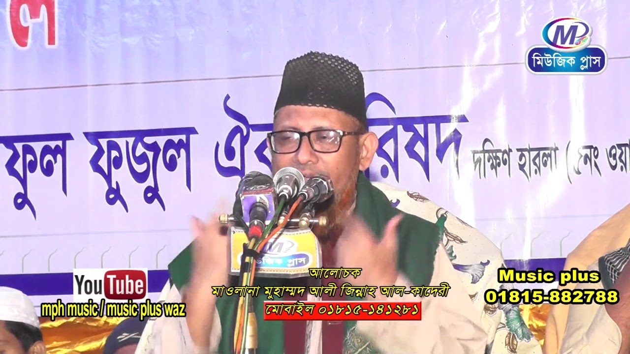 মাওলানা আবুল আসাদ  জোবাইর রজবী । মিলাদুন্নবী গুরুত্ব।Music plus waz