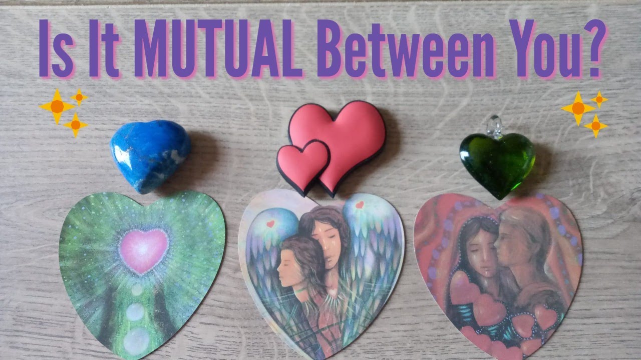 💗Is It MUTUAL Between You ?💗Pick a Card 🥰Is There Mutual Attraction and Feelings?🌹Timeless Tarot🌹