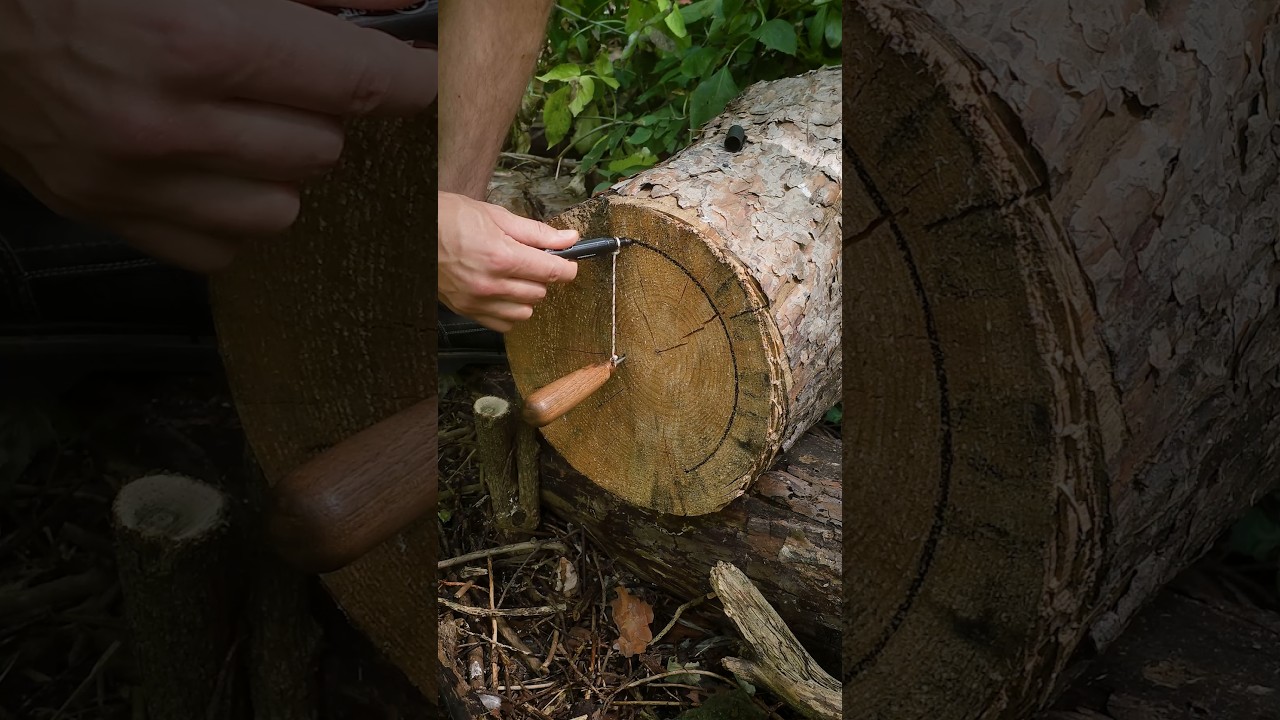 Fine bushcraft IDEA with wood #survival #lifehack #camping #outdoors