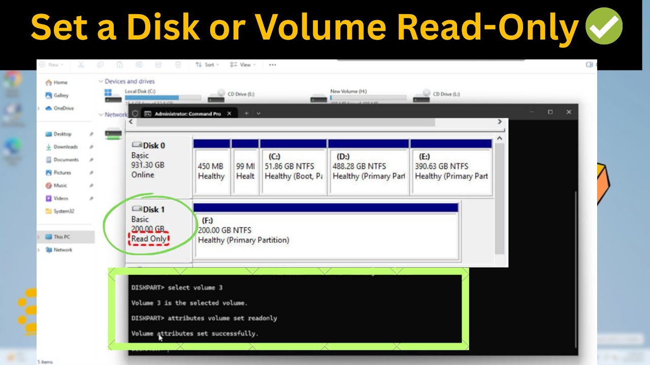 How to Set a Disk or Volume Read-Only in Windows 11/ 10 / 8 / 7 ✅