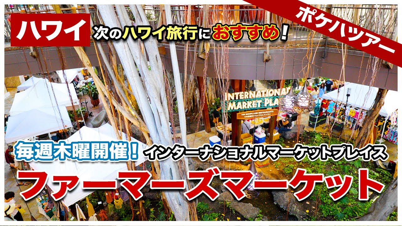 【次のハワイ旅行におすすめ！】ワイキキ中心！インターナショナルマーケットプレイスのファーマーズマーケットへ行ってみよう！【ポケハツアー】【4K】