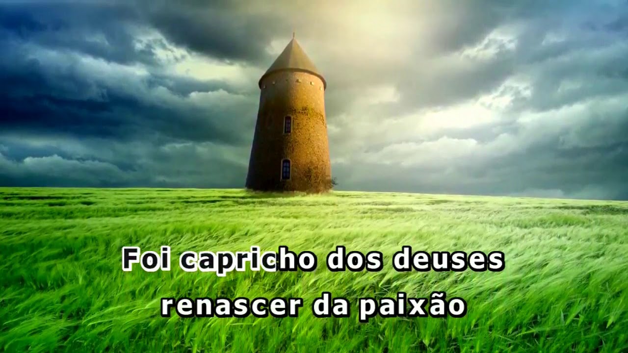 Videokê - Capricho Dos Deuses - Netinho - 3040