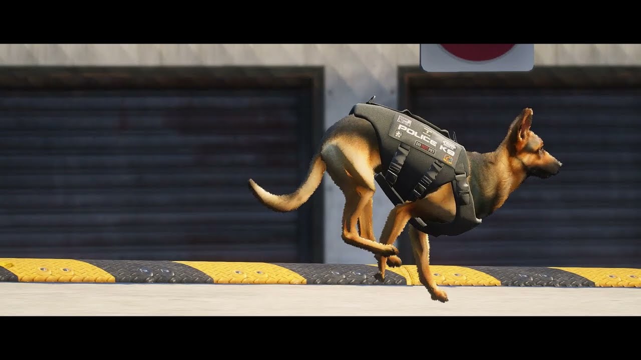 Bugs Mods K9 Preview Video