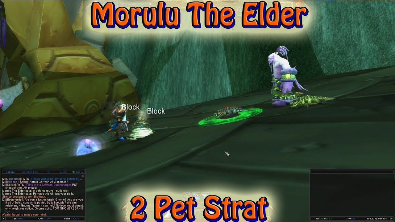 Morulu The Elder 2 Pet Strategy