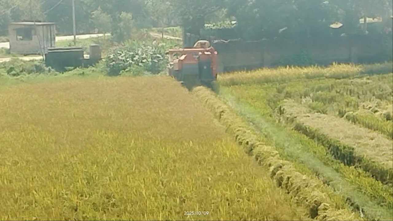Mahindra vs fix engine harvester 2026