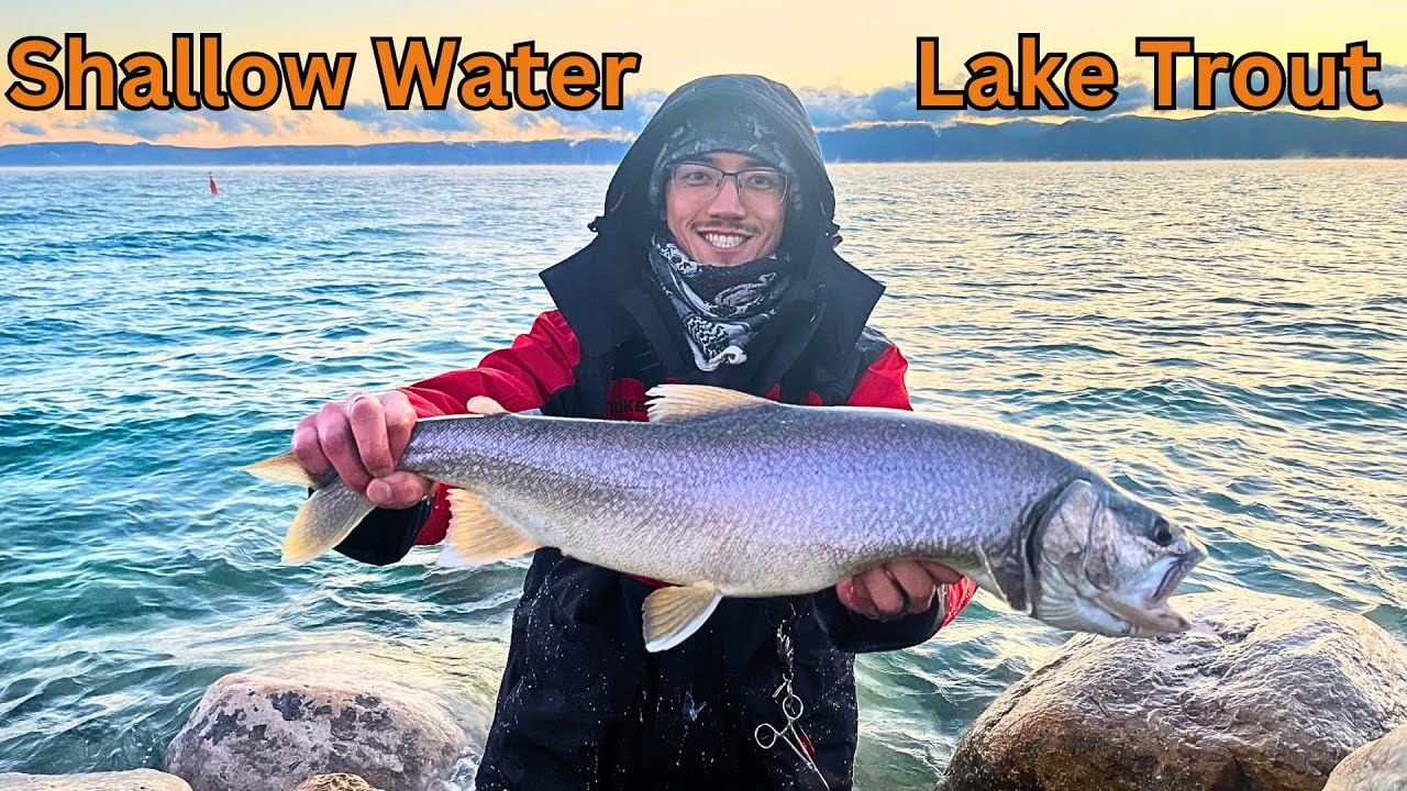 Catching Shallow Water Lake Trout- LAKE TROUT SPAWN! - SBO Fishing