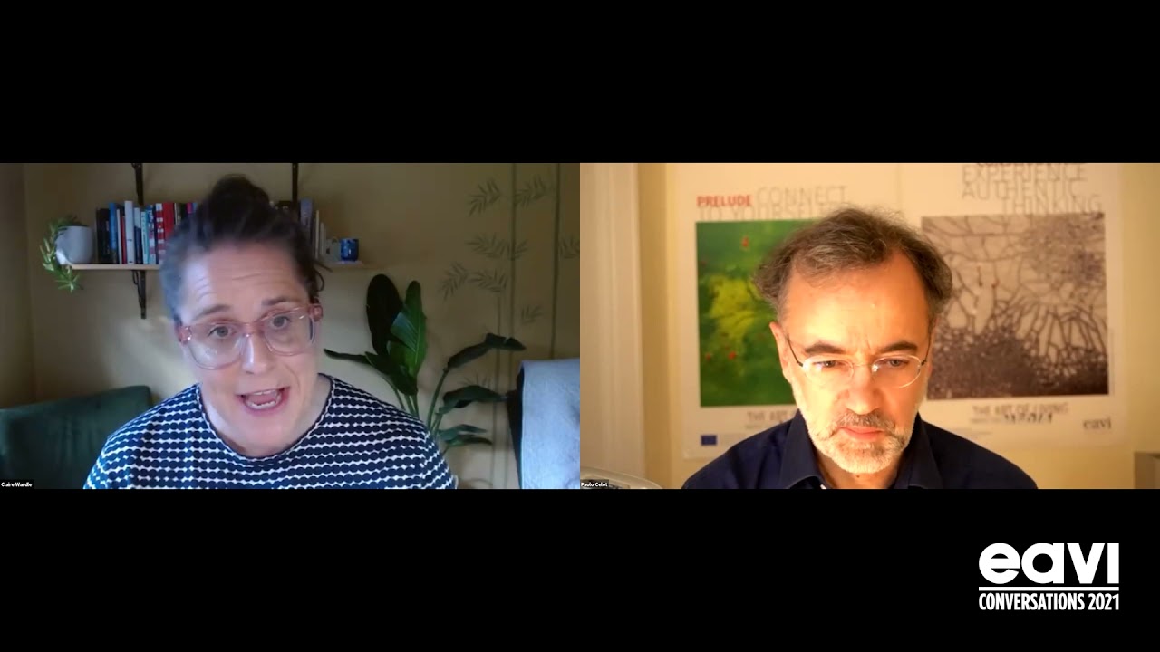 Claire Wardle: The Development of Disinformation | EAVI Conversations Shorts
