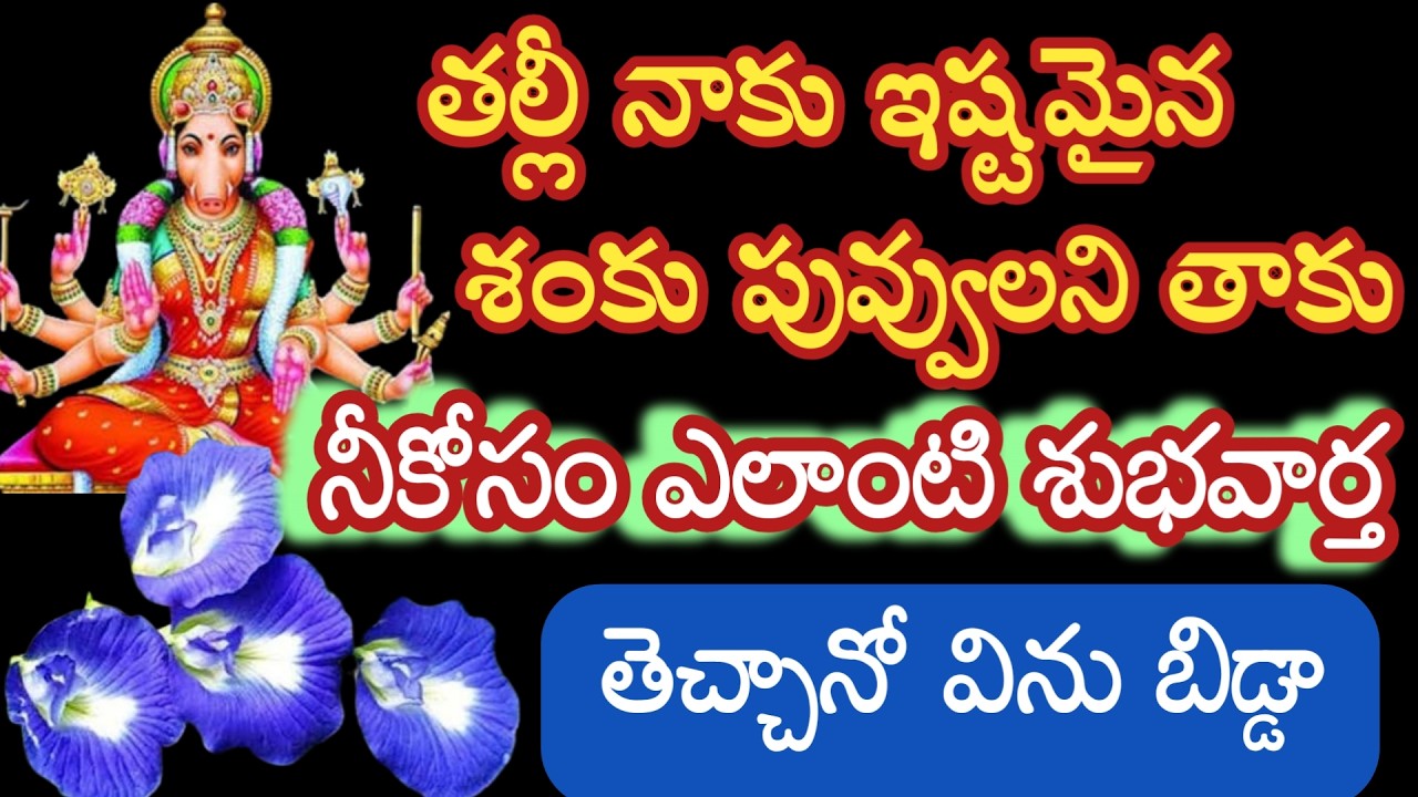 Bబిడ్డా ఎంతో ప్రీతికరమైన శంకు పువ్వుని తాకు నీకోసం శుభవార్త తెచ్చానో విను |various miracle