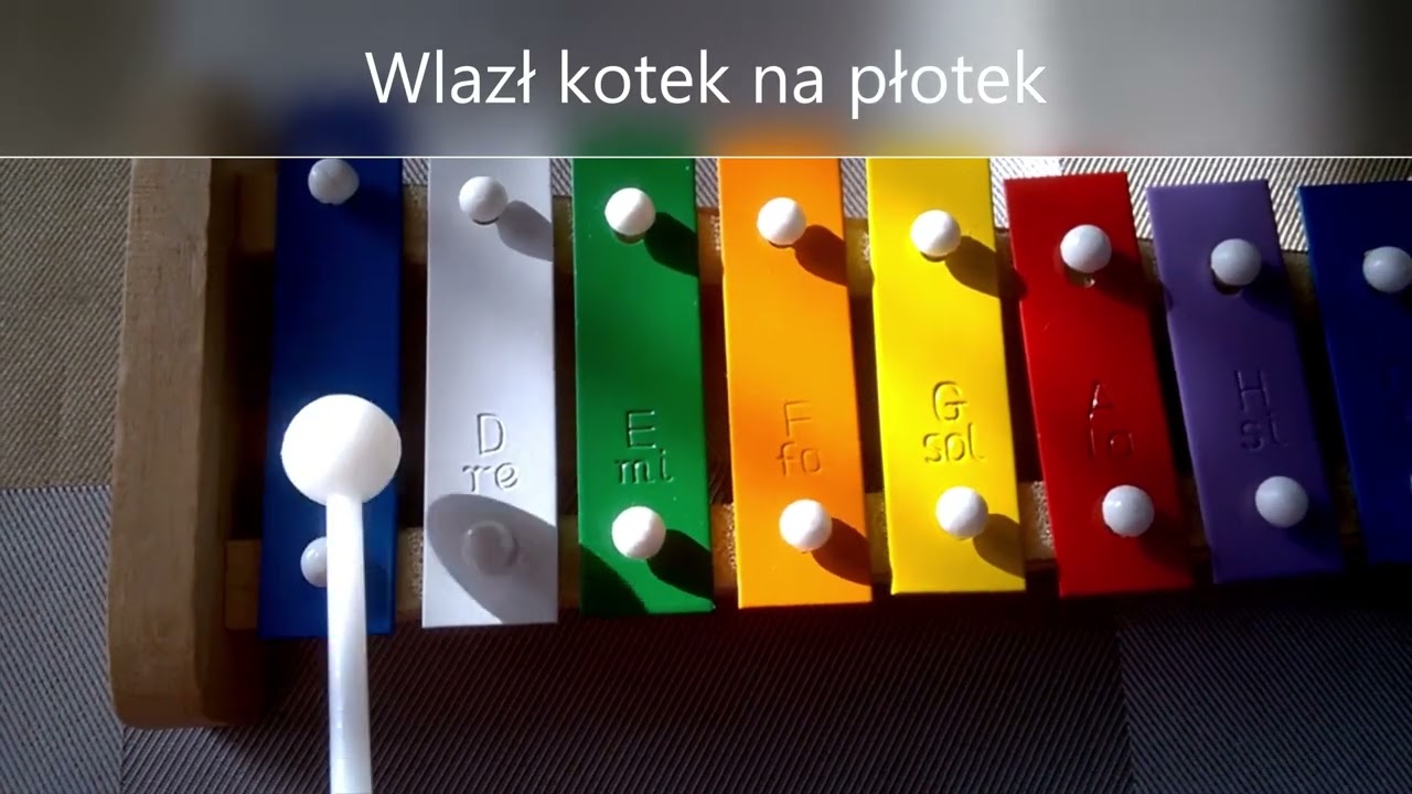 Wlazł kotek na płotek 🌼