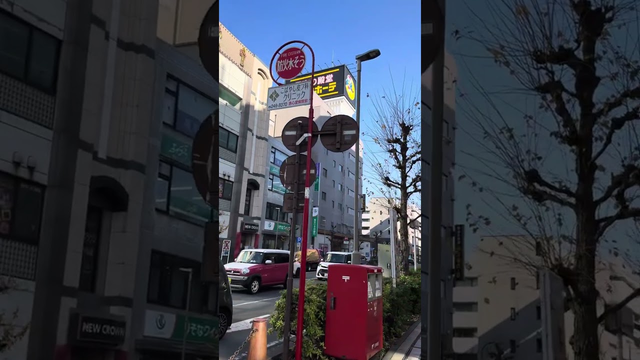 【埼玉県の川越をおさんぽ！】やっぱりウェルネスツーリズムって最高だよね？健康的にも美容的にも平均寿命を上げていくよ！？