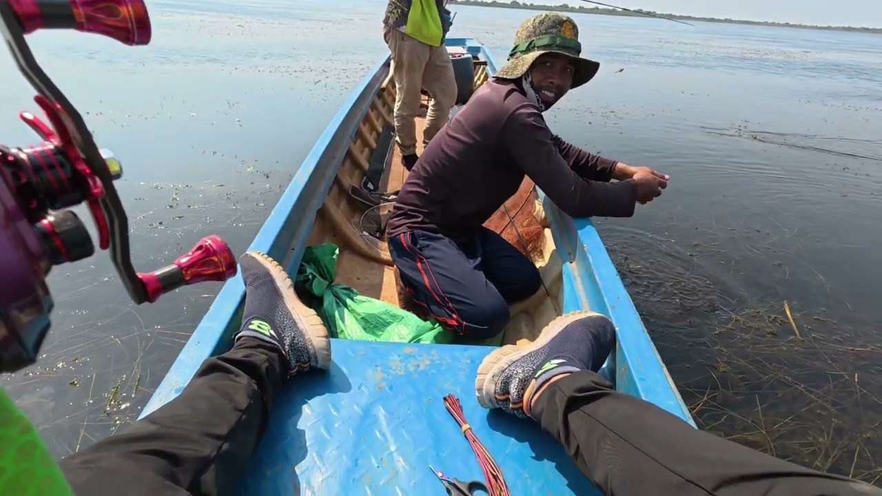 ១១ក្បាល ត្រីបឹងទន្លេសាប (11Fish of Tonle Sap Lake)