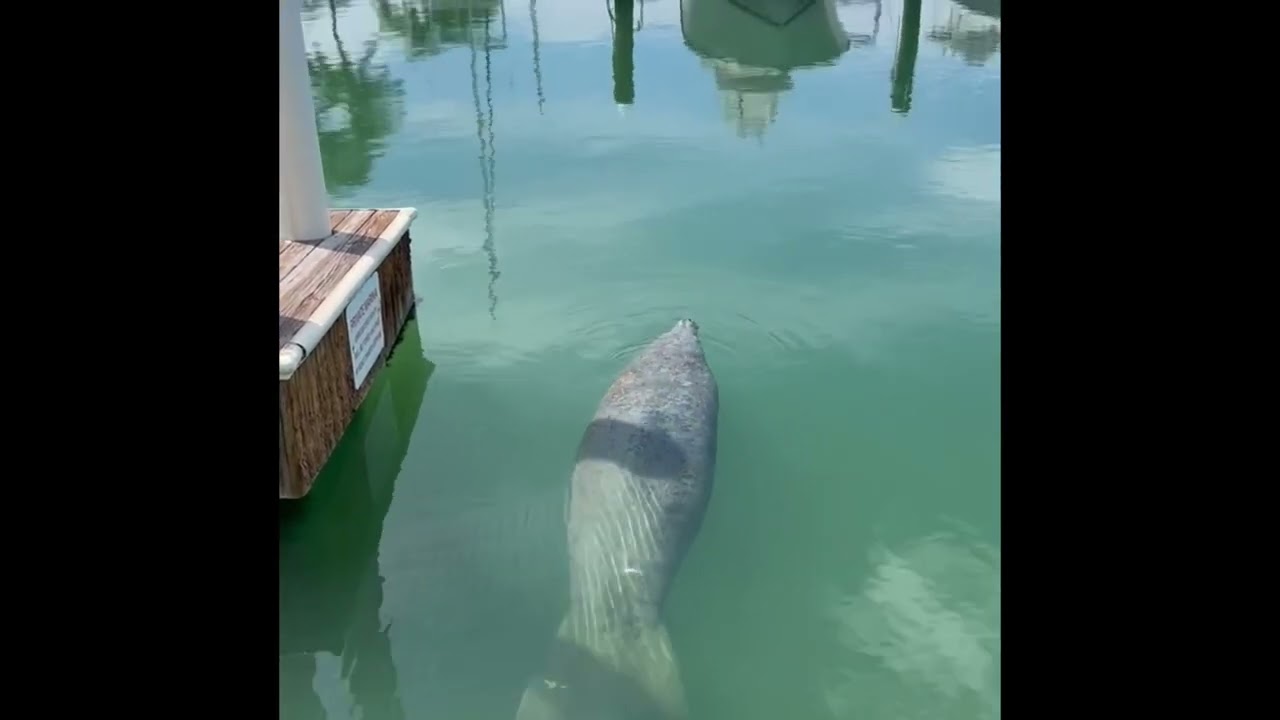 Ocean Edge Resort & Marina, Key West.