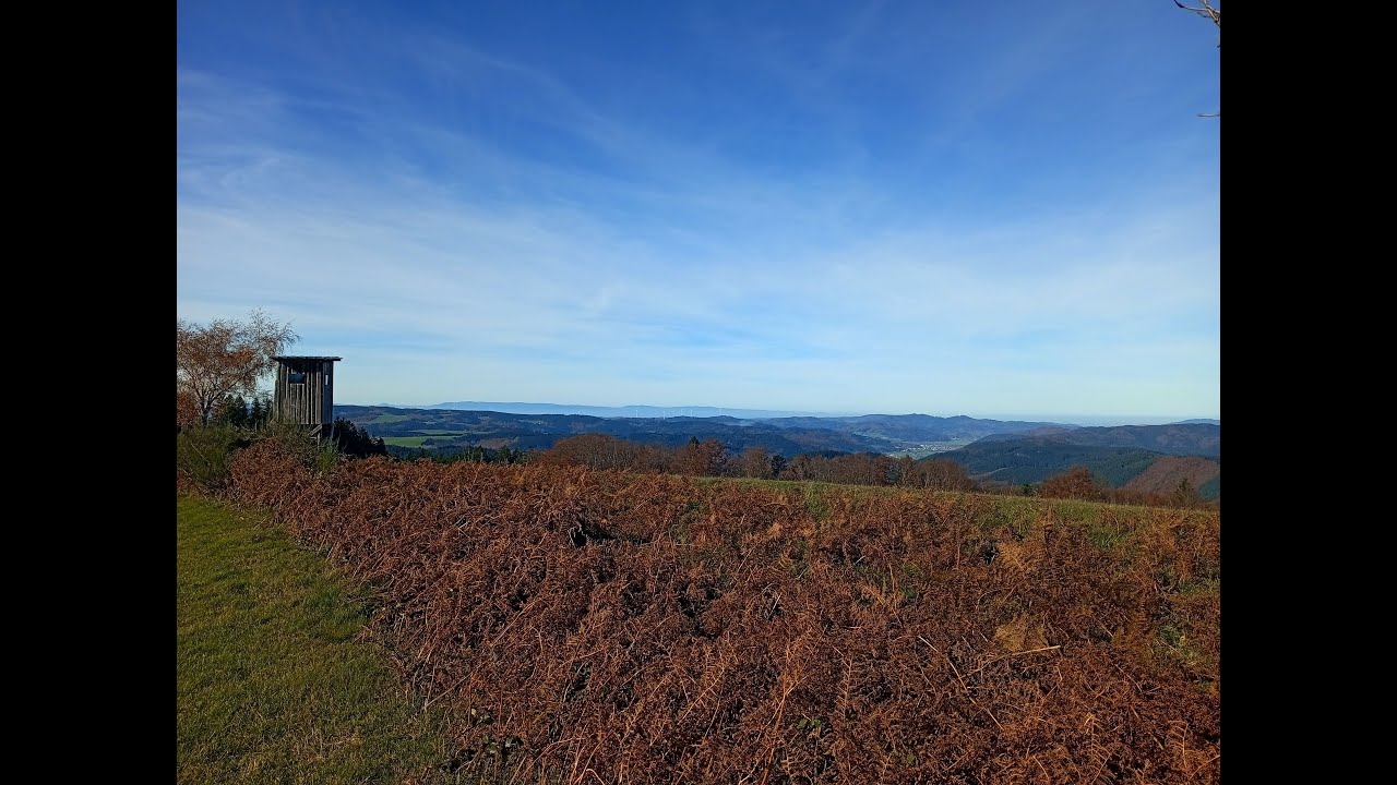 Wandern im Schwarzwald am Landwassereck Teil 2