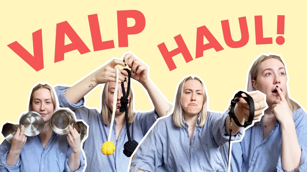 VAD VI KÖPT TILL VÅR VALP!