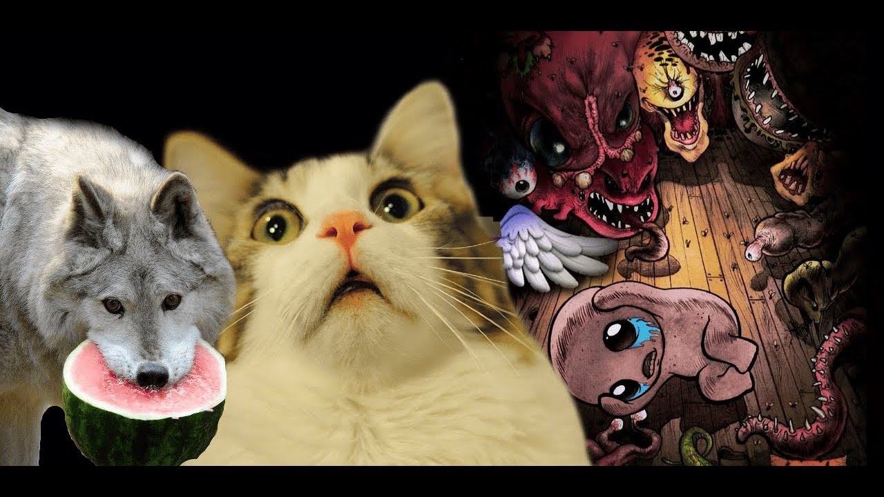 The Binding of Isaac #1 Co-op | Взрываемся с любимым